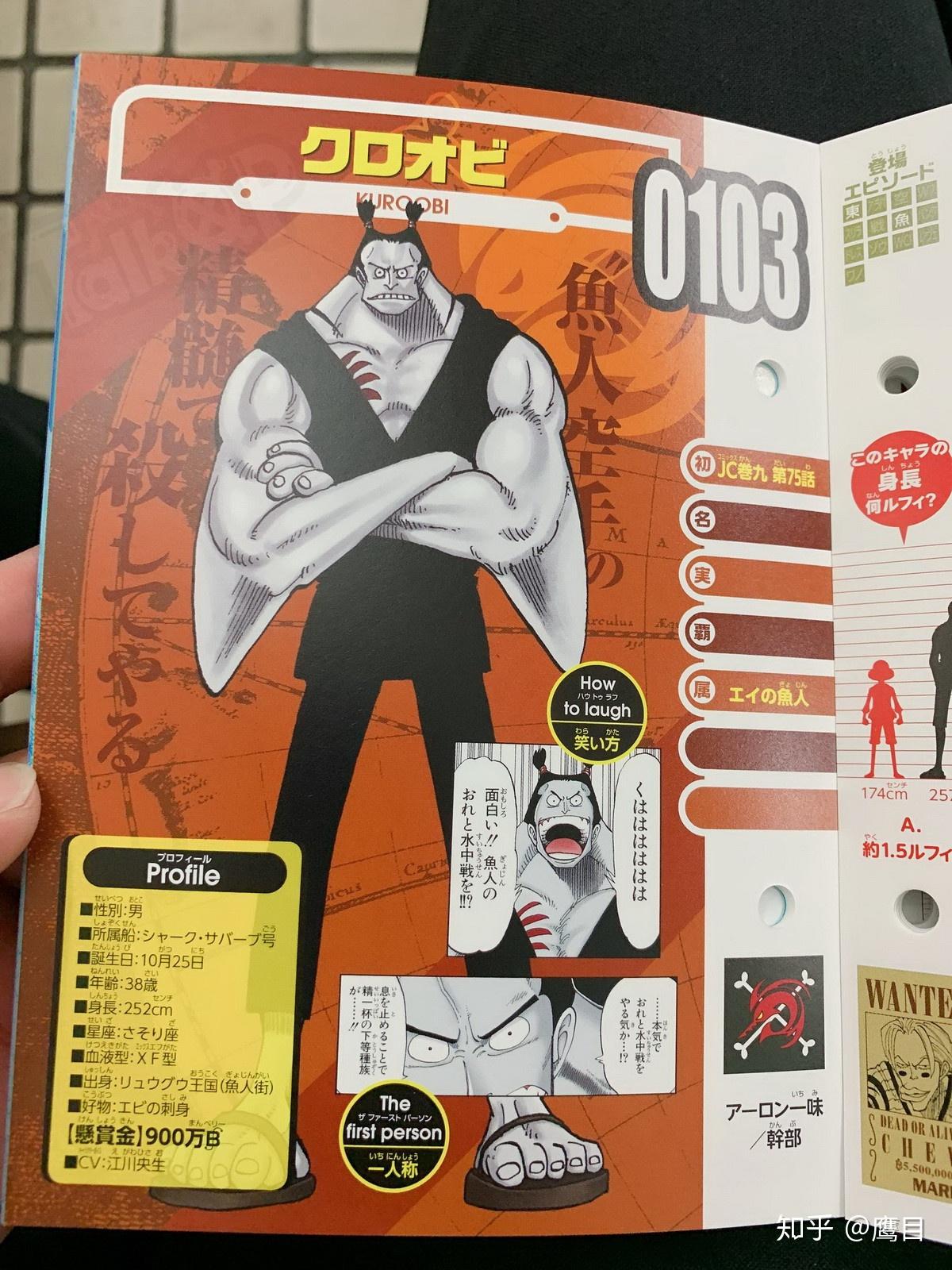 talkop汉化海贼王资料集生命卡onepiece图鉴全图翻译可可亚西村大监狱