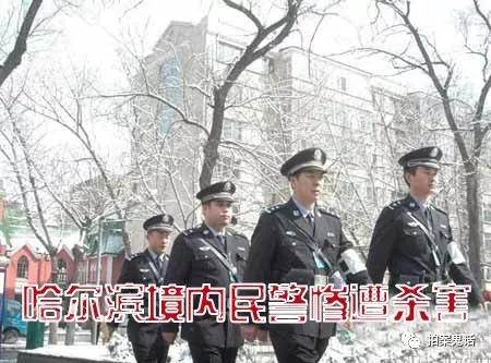 v2-094ab5d8295cc2511274e38d2bbbf514_1440w.jpg?source=172ae18b