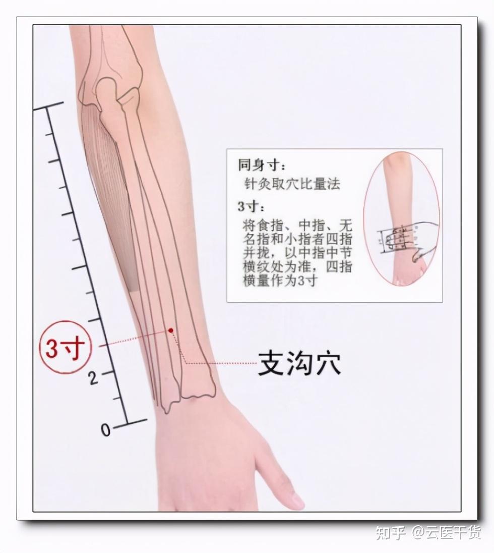 犊鼻怎么读图片