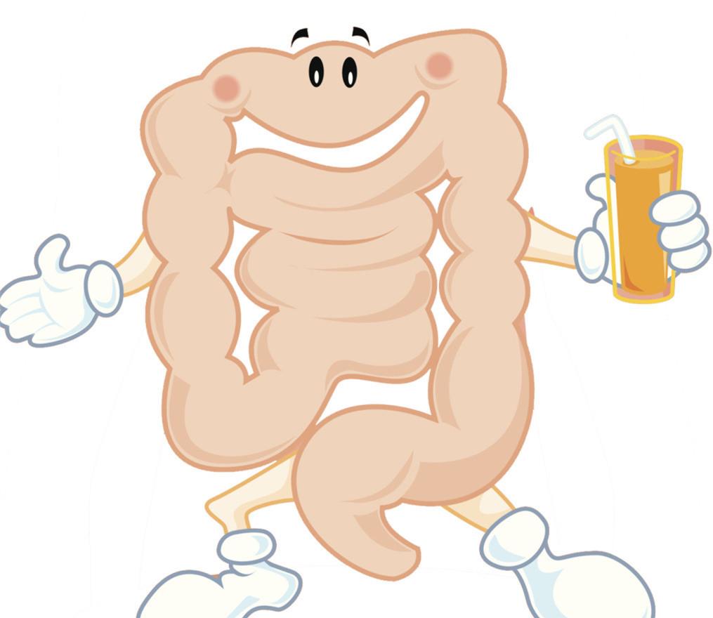 做好事不留名:膳食纤维在人体内的"天使之旅"