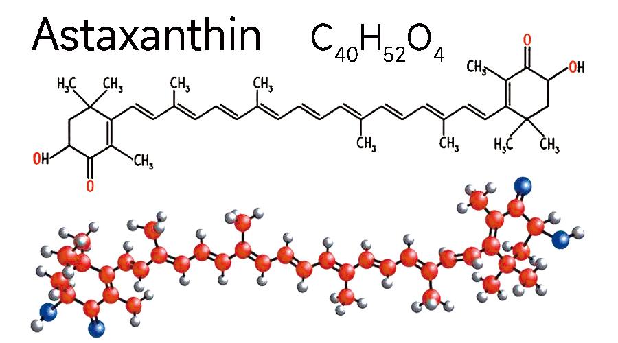 蝦青素是一種酮式類胡蘿蔔素,分子式為c40h52o4,由於蝦青素分子中含有
