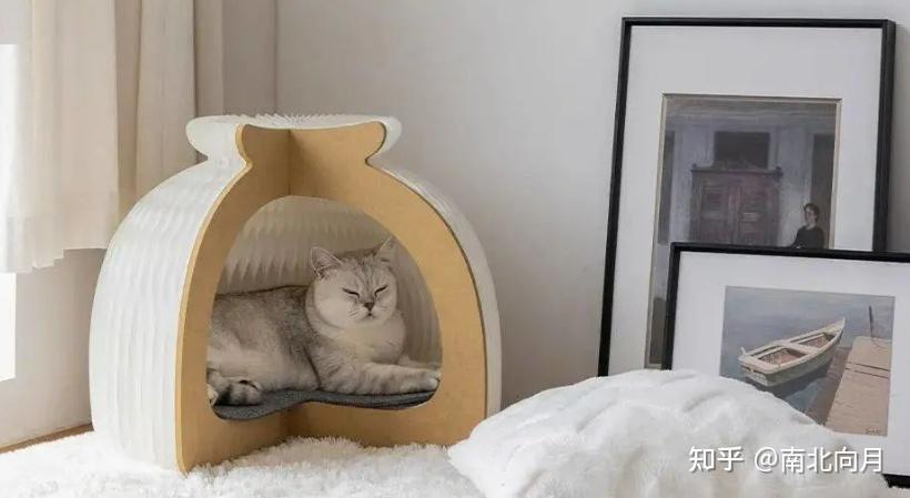 TOP猫窝推荐:猫窝有必要买吗?猫窝买哪种比较好?
