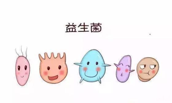 干货 | 益生菌的菌属、菌种、菌株有何不同？ - 知乎