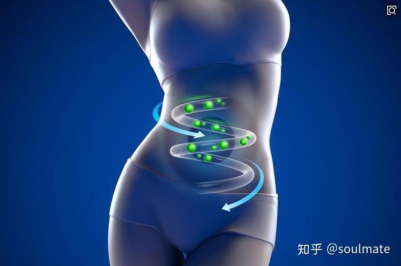 就有一个弯折,即使人体每天排泄,总是有一些食物残渣留在肠道褶皱里