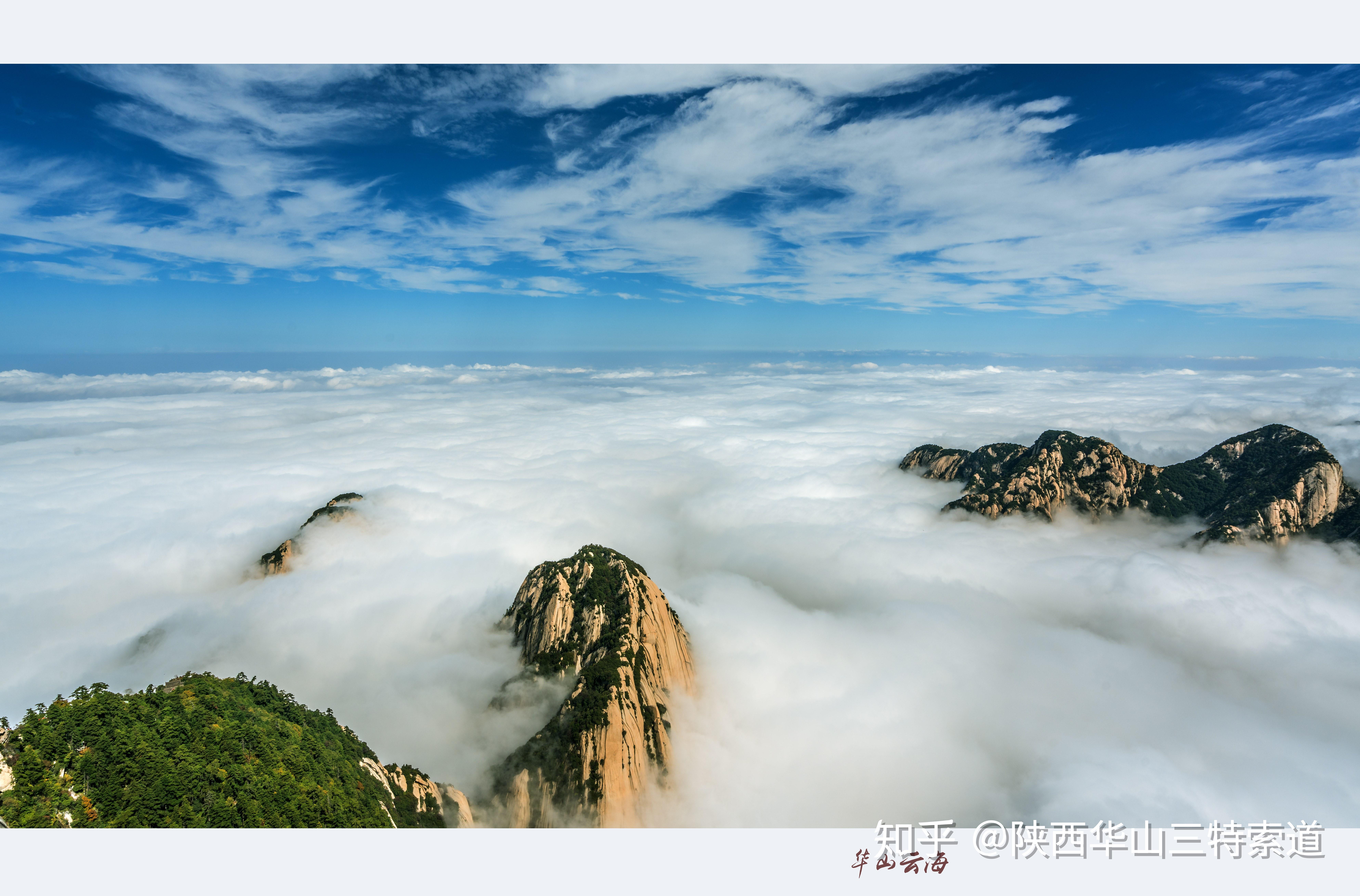 疫去安来春可待我想和你一起跨越山河大海