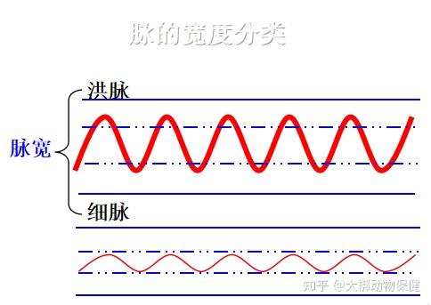 洪脉常见于图片