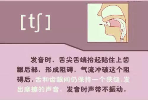 以下是48個國際音標的發音口型圖解