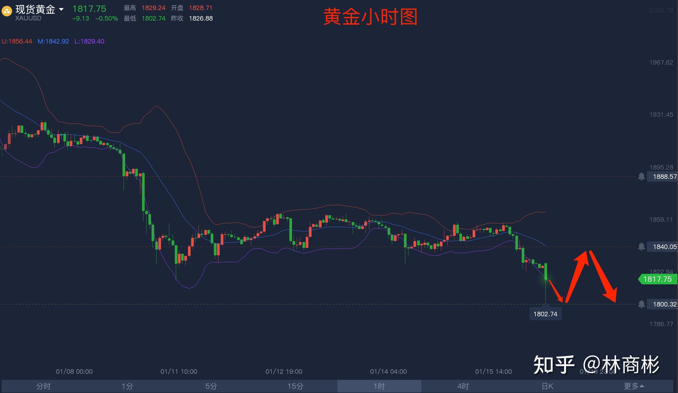 今日99黄金开盘价格是多少钱(今日99黄金开盘价格是多少钱啊)