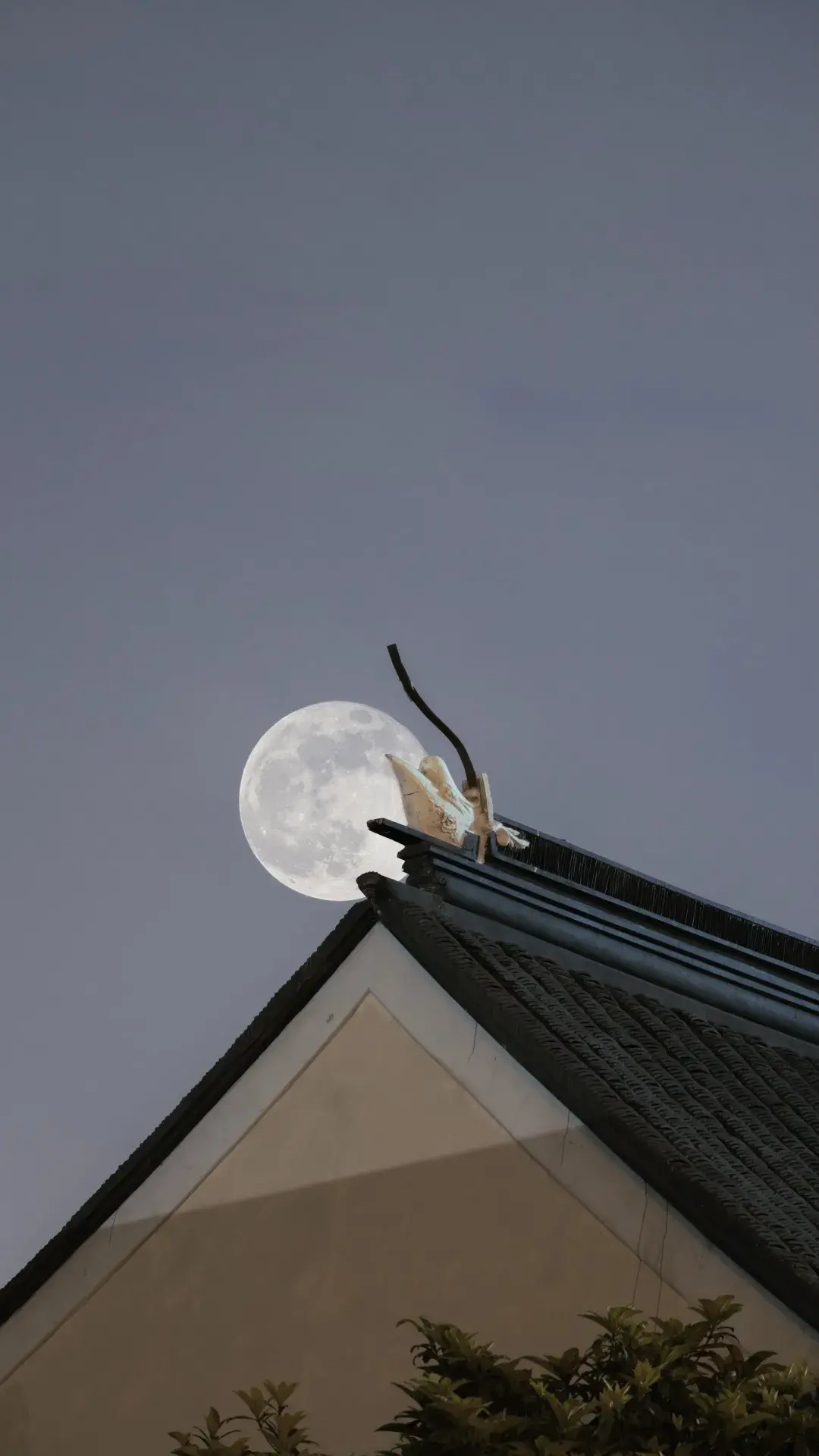 守得云开见月明海尔园的超级月亮超美