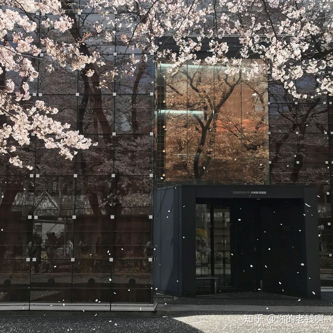 学姐分享:东京五美,武藏野美术大学有多难考?