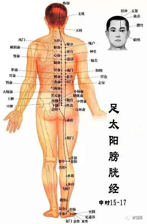 v2-09be07c514cd2e5a97a814624686090d_r.jpg
