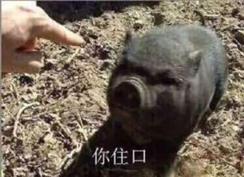 喊话大佐沙雕文案,喊话大佐沙雕文案搞笑