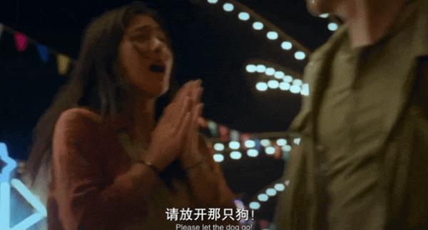 《心犬相随》现象级票房黑马，太好哭了