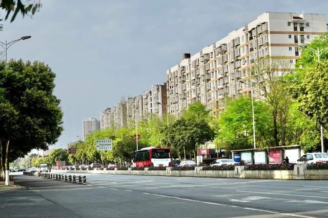 金堂县 迎宾大道一段