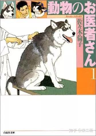 如何成为网红宠物博主 v2-09f22ca5dc02ae8b1a542073f6a2a825_b.jpg