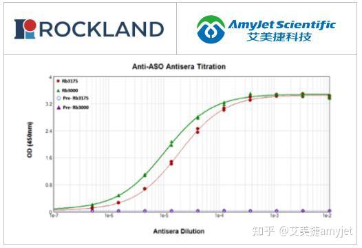 Rockland丨rockland抗寡核苷酸抗体开发流程 知乎 8304