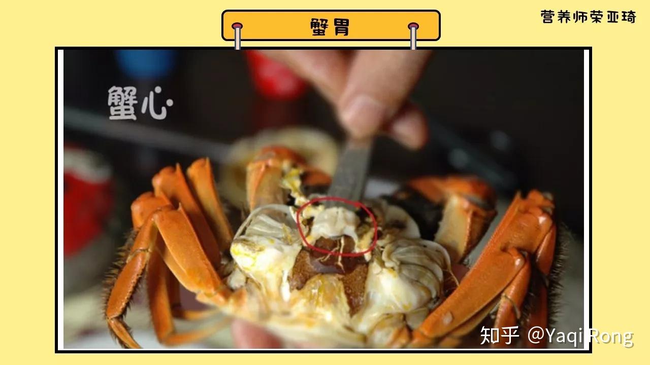 用一只螃蟹告别这个秋天女孩是不是要少吃螃蟹