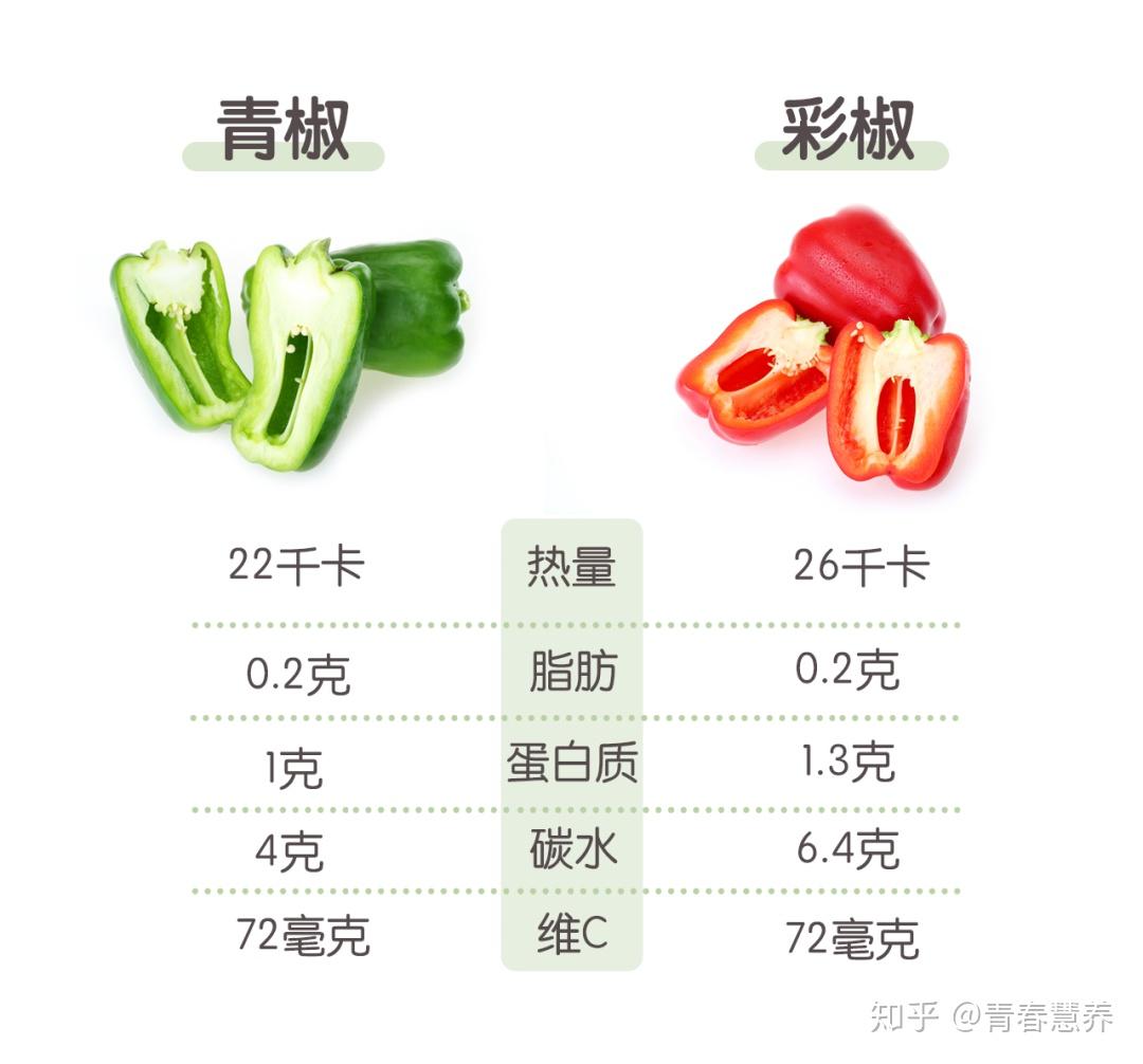 青椒 vs 彩椒no.2易产气,导致腹胀,消化不良的人群慎食用.