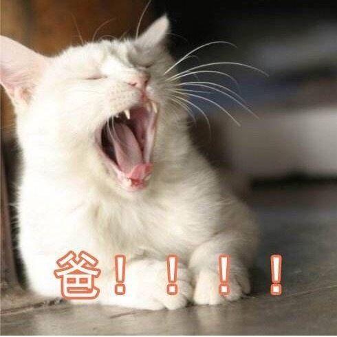 什么时候可以理我表情包 v2-0a0c2d677ed0bb1c124afac8871cde9c_r.jpg