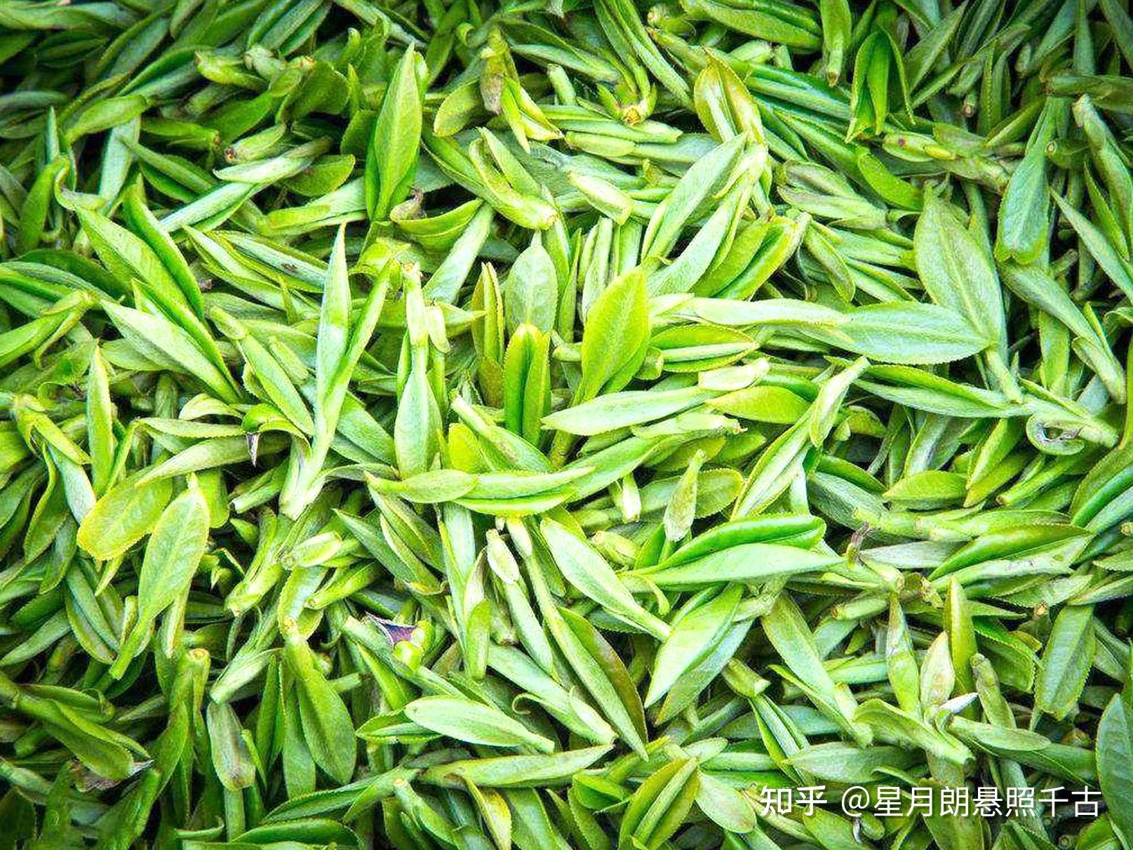 你值得了解——浅析顾渚紫笋茶在中国贡茶史上的地位 - 知乎