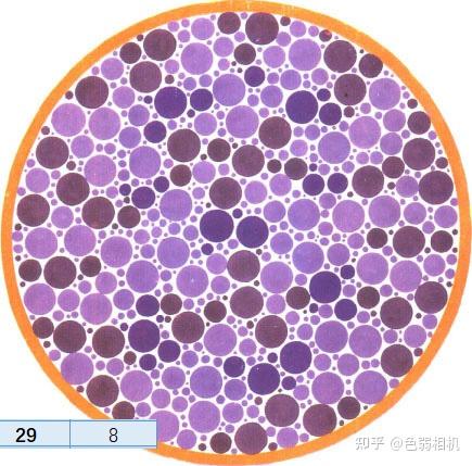 色弱测试图及答案 王克长第二版 驾考,体检,征兵专用