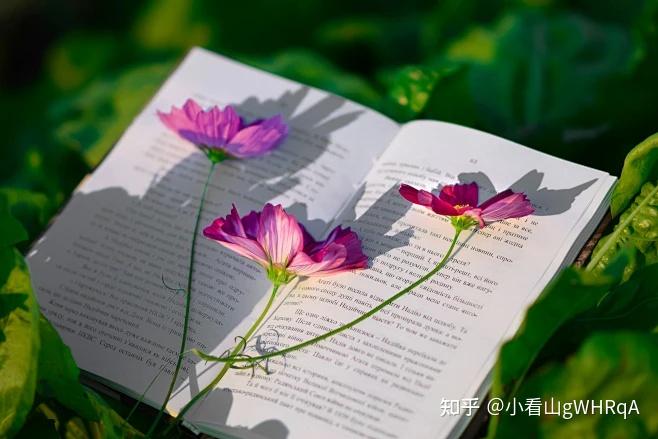 为什么很多人不是不想读书,而是总在“准备读”的路上卡住了