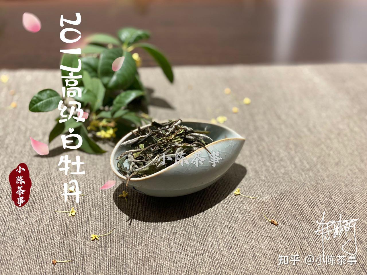 白茶也像普洱茶那樣分生茶熟茶老茶客及時澄清一場誤會