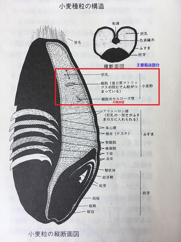 小麦粉面粉