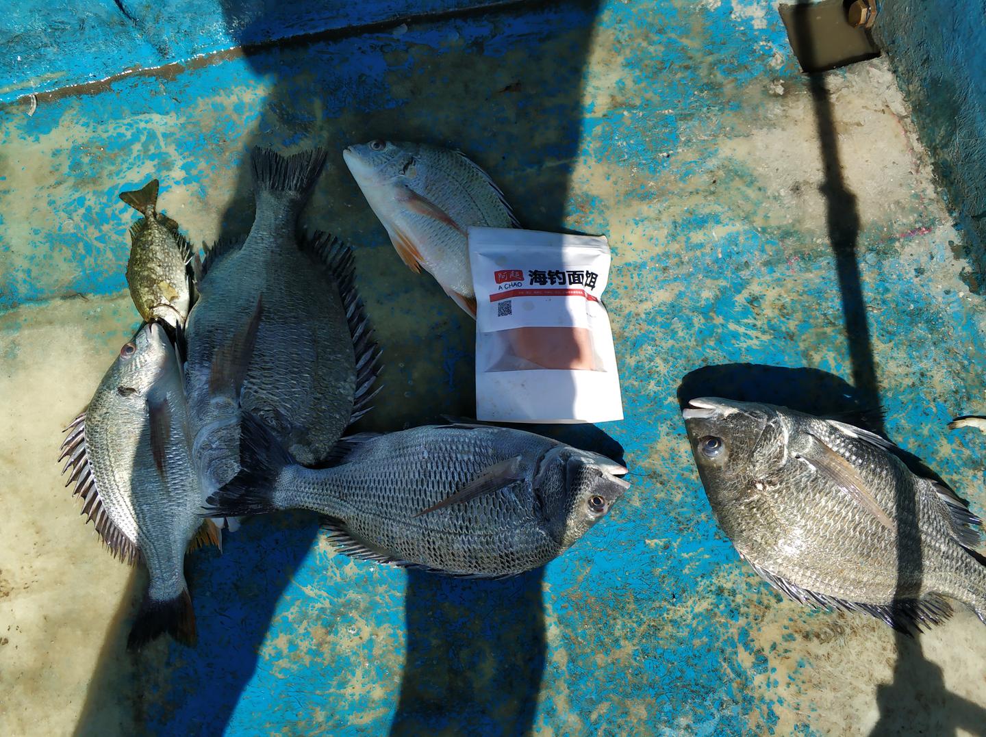 鱼排作钓怎样才能不打龟 真有所谓的秘位吗 知乎