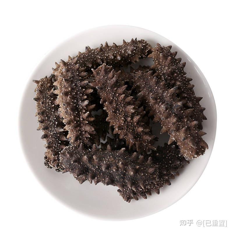 北海道六排刺参，因品相漂亮，通常被用来宴会使用海参 - 知乎