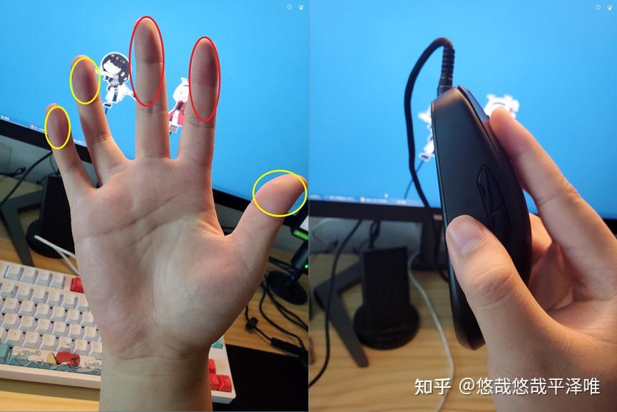 你真的了解自己的手吗?带你寻找最适合你的鼠标 - 知乎