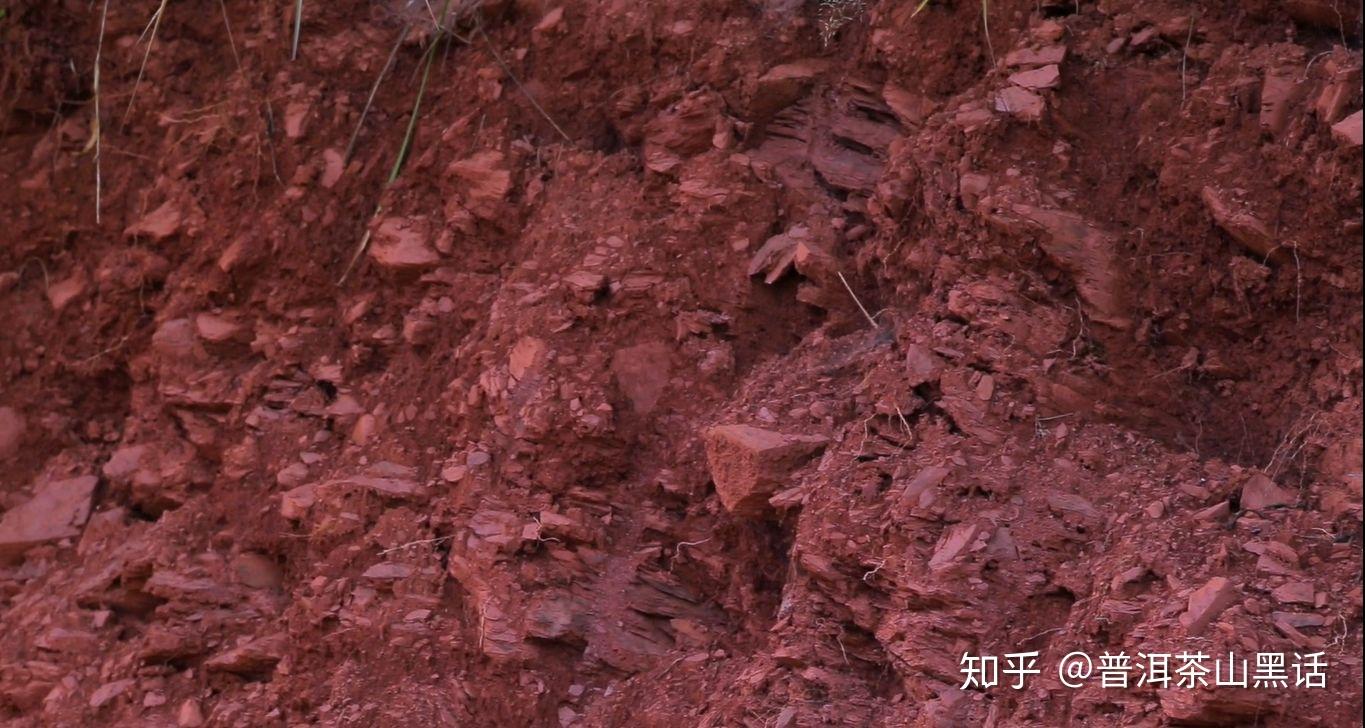 特殊的小叶种加上独特的土壤,造就了曼松可以说是独一无二的口感和