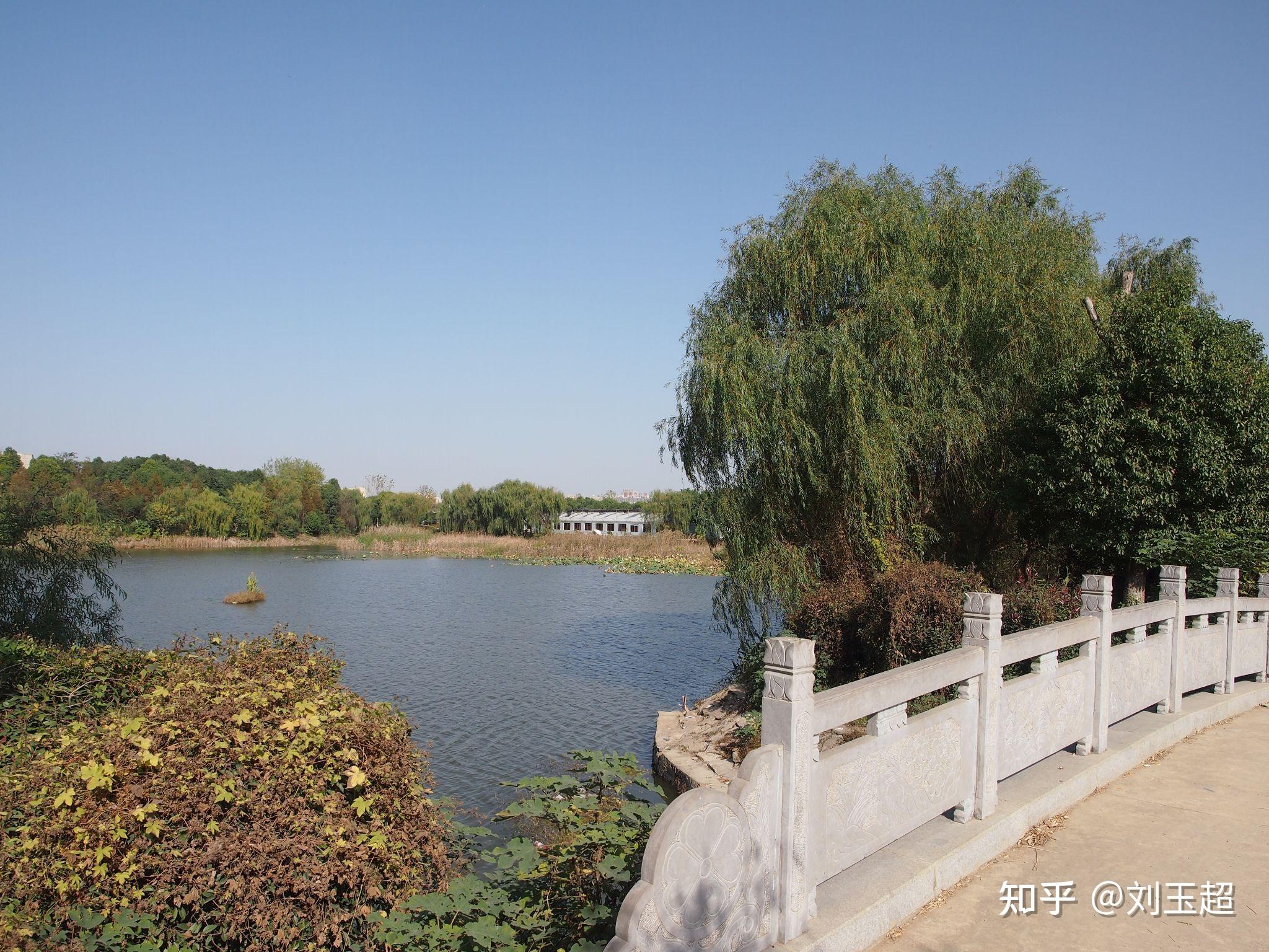 合肥市肥东县撮镇建华社区龙栖地湿地公园