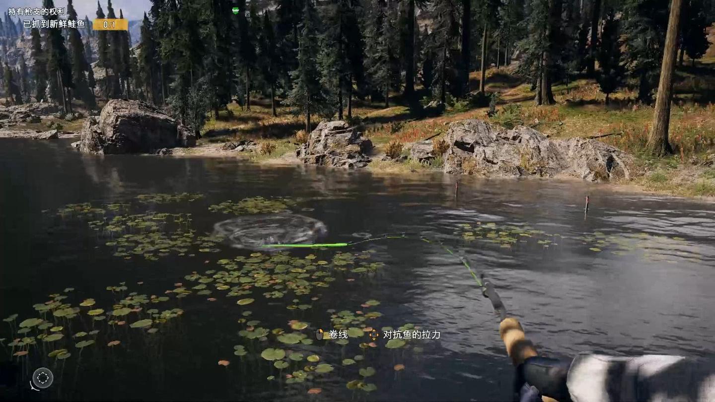 PETA：专怼游戏公司，比中国大妈更会碰瓷的动物保护组织- 知乎