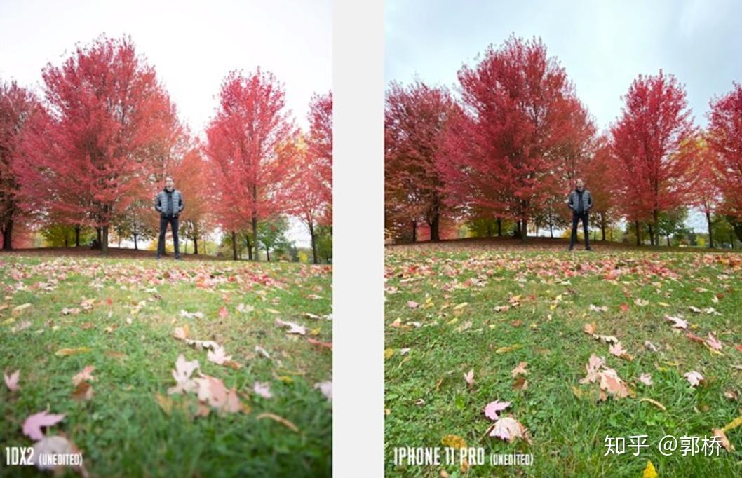 差距有多大看完iphone11pro和5万元佳能单反的样张就知道了