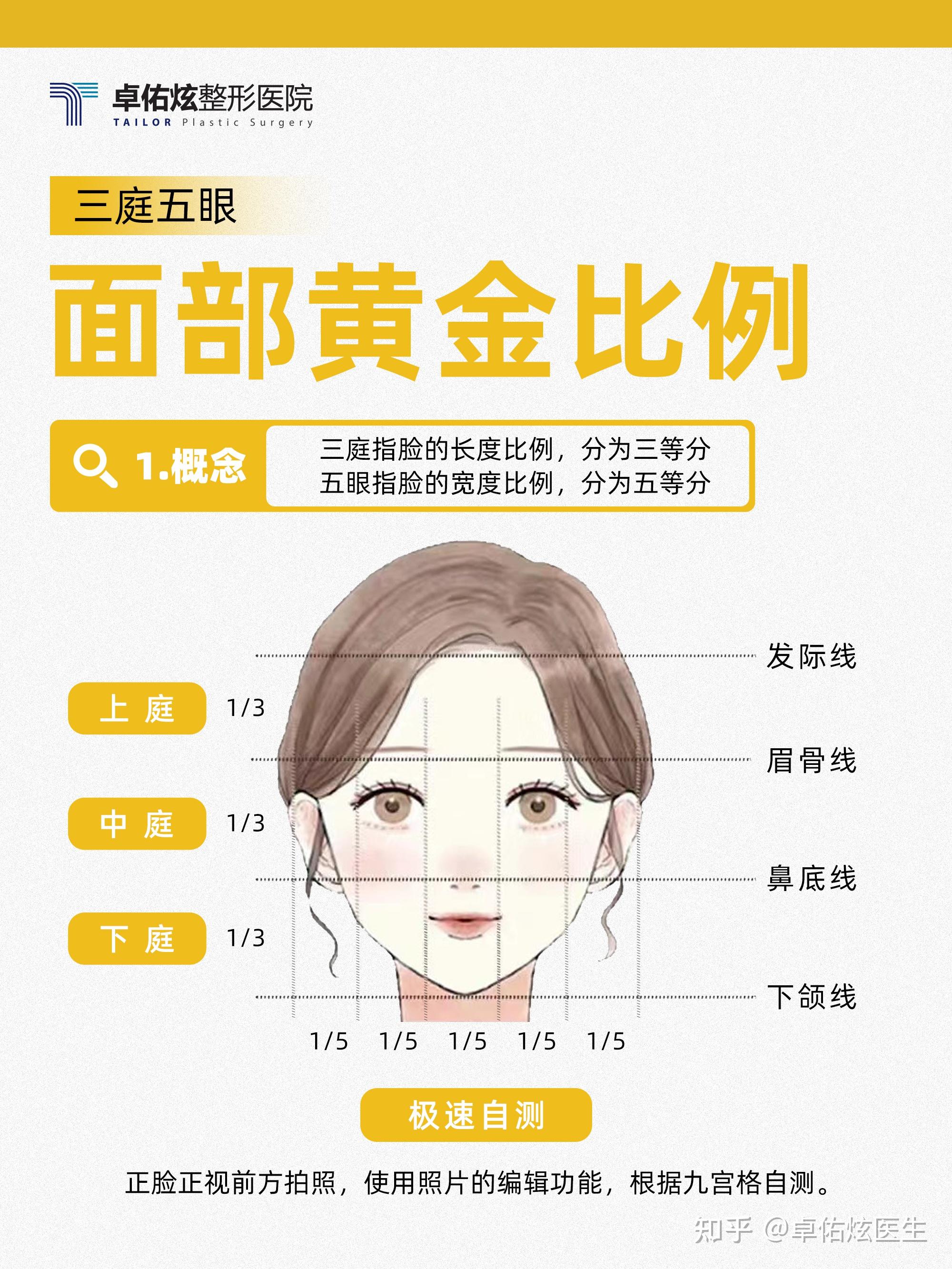 面部黄金比例知多少