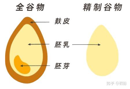 权威研究全谷物可降低胃癌大肠癌等风险但要注意这4点