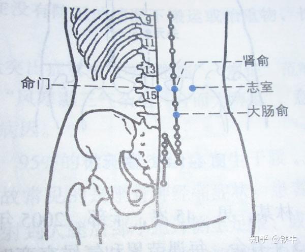 贤俞穴志室穴的妙处