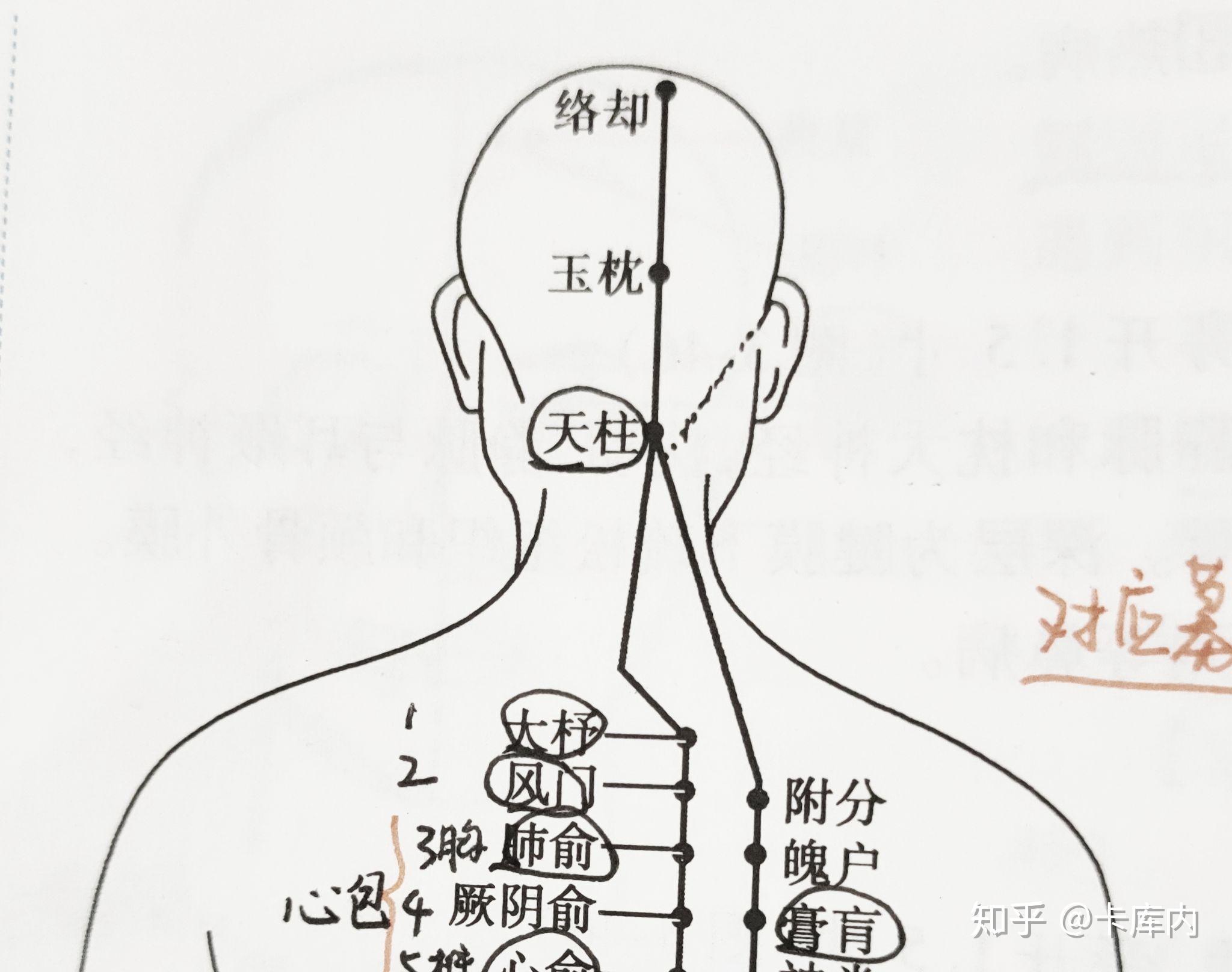 肩颈部腧穴定位