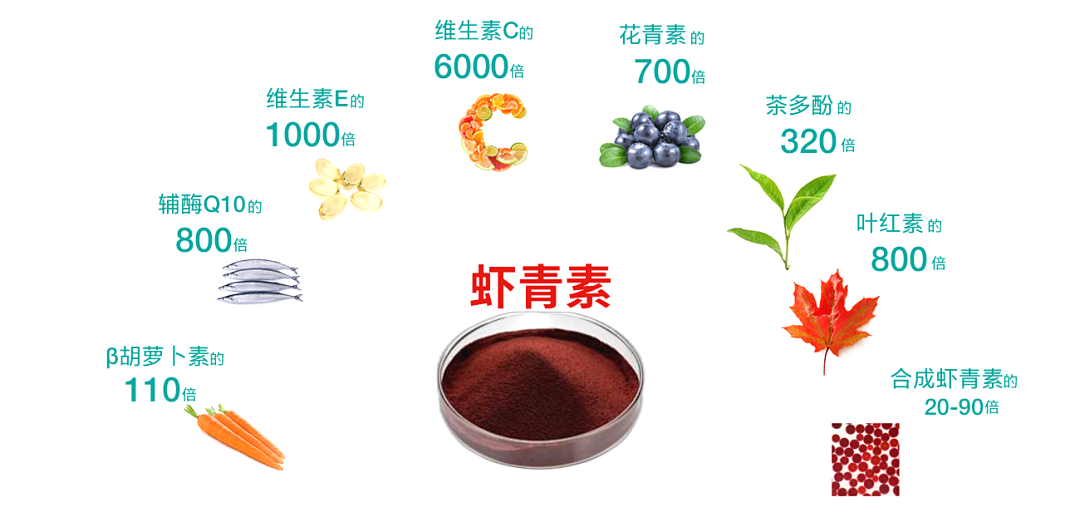独家增效复合配方——虾青素 - 知乎