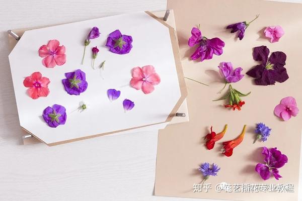花艺教程|3种方法,学会美妙的压花艺术 - 知乎