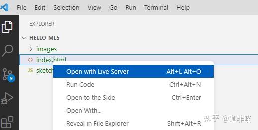 ml5-js-vscode-image-classification