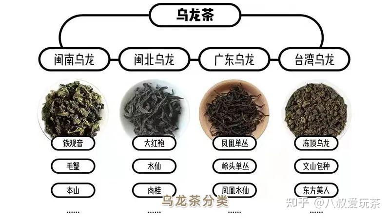 乌龙茶又称青茶,属于半发酵茶,介于不发酵的绿茶与全发酵的红茶之间