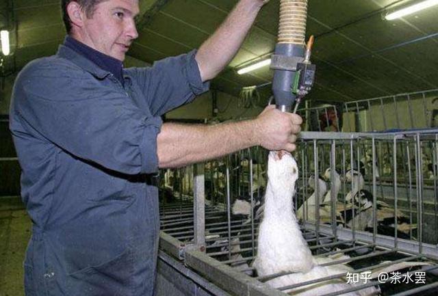 贪欲催生下的产物