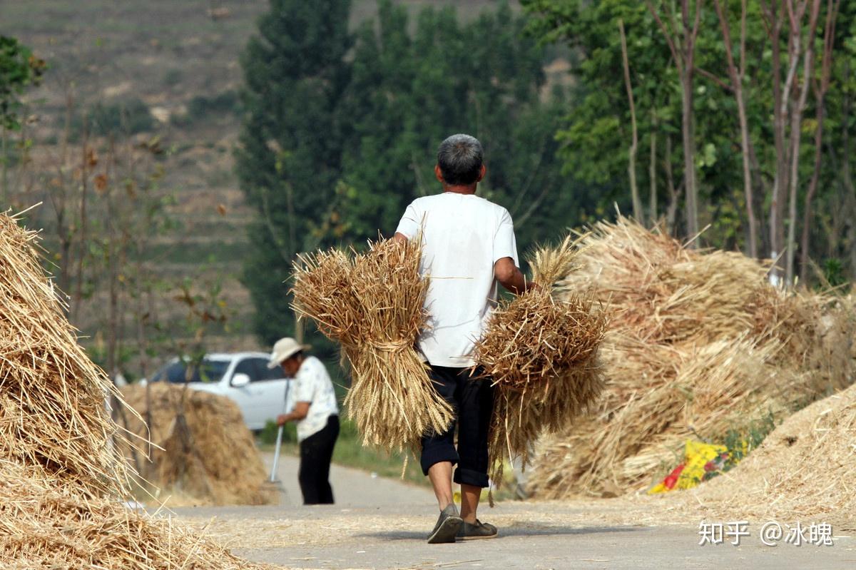 中国农民丰收节 | 今天，让我们一起礼赞丰收--中国摄影家协会网