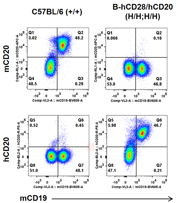 老将再掀新浪潮，CD20靶点火力全开 - 知乎