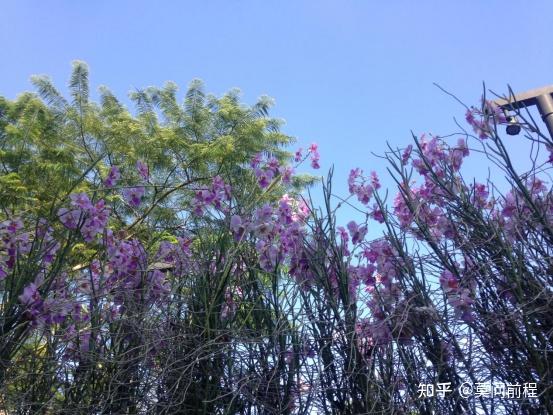 行万里路之---一日穷游新加坡 - 知乎