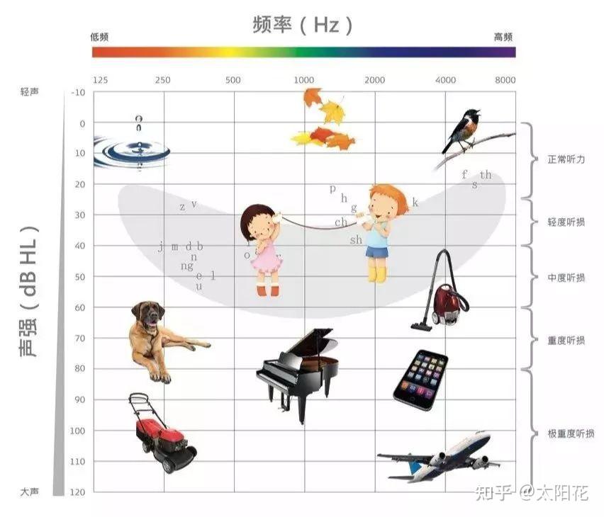 垫江惠耳听力助听器分享——为什么听力损失很多都是从高频开始？ - 知乎