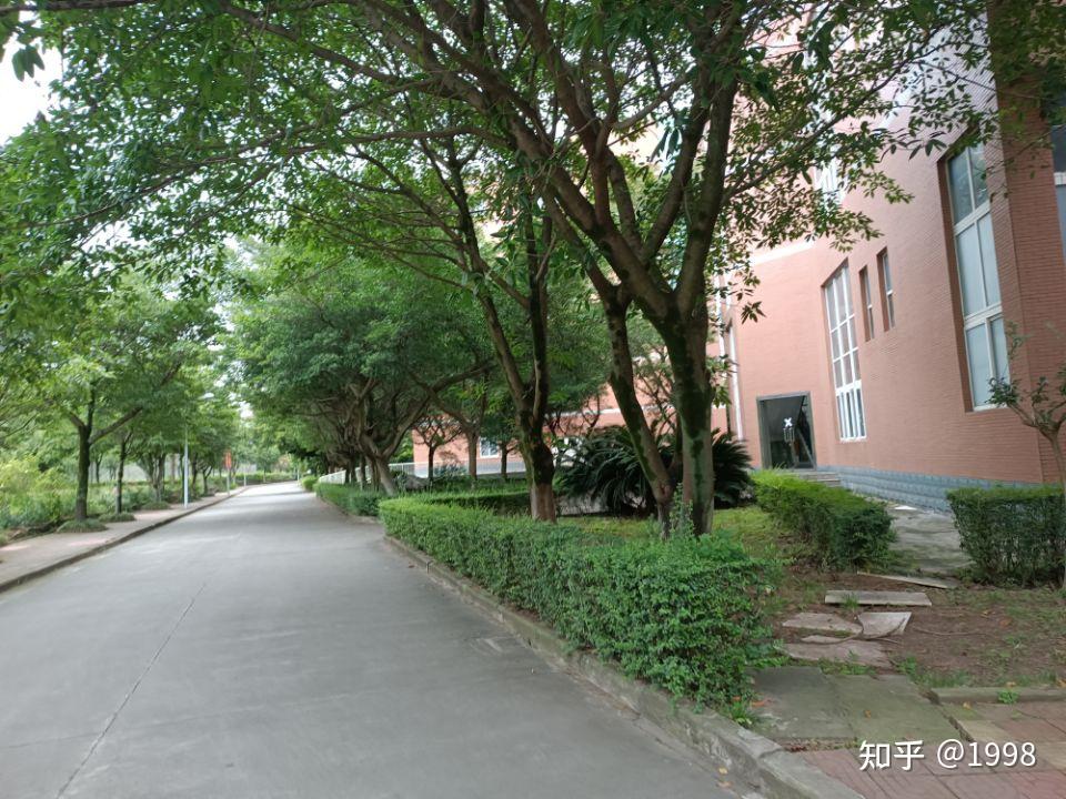 成都信息工程大学龙泉校区环境 - 知乎