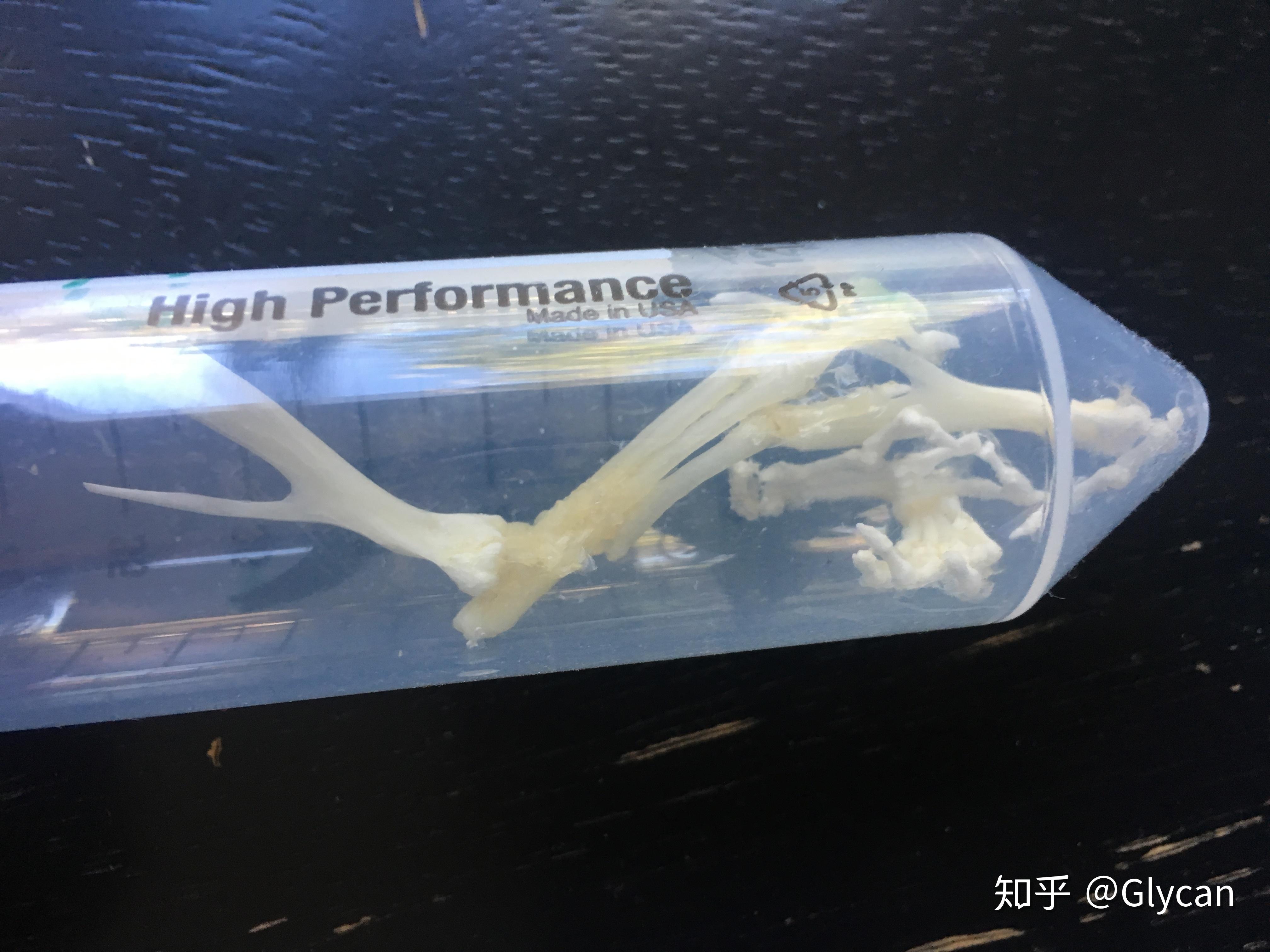 标本怎么制作 v2-0b21338ecd24135c8eb4892c7585ea39_r.jpg